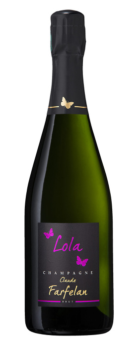 CHAMPAGNE BLANC DE BLANCS - DOČASNĚ VYPRODÁNO
